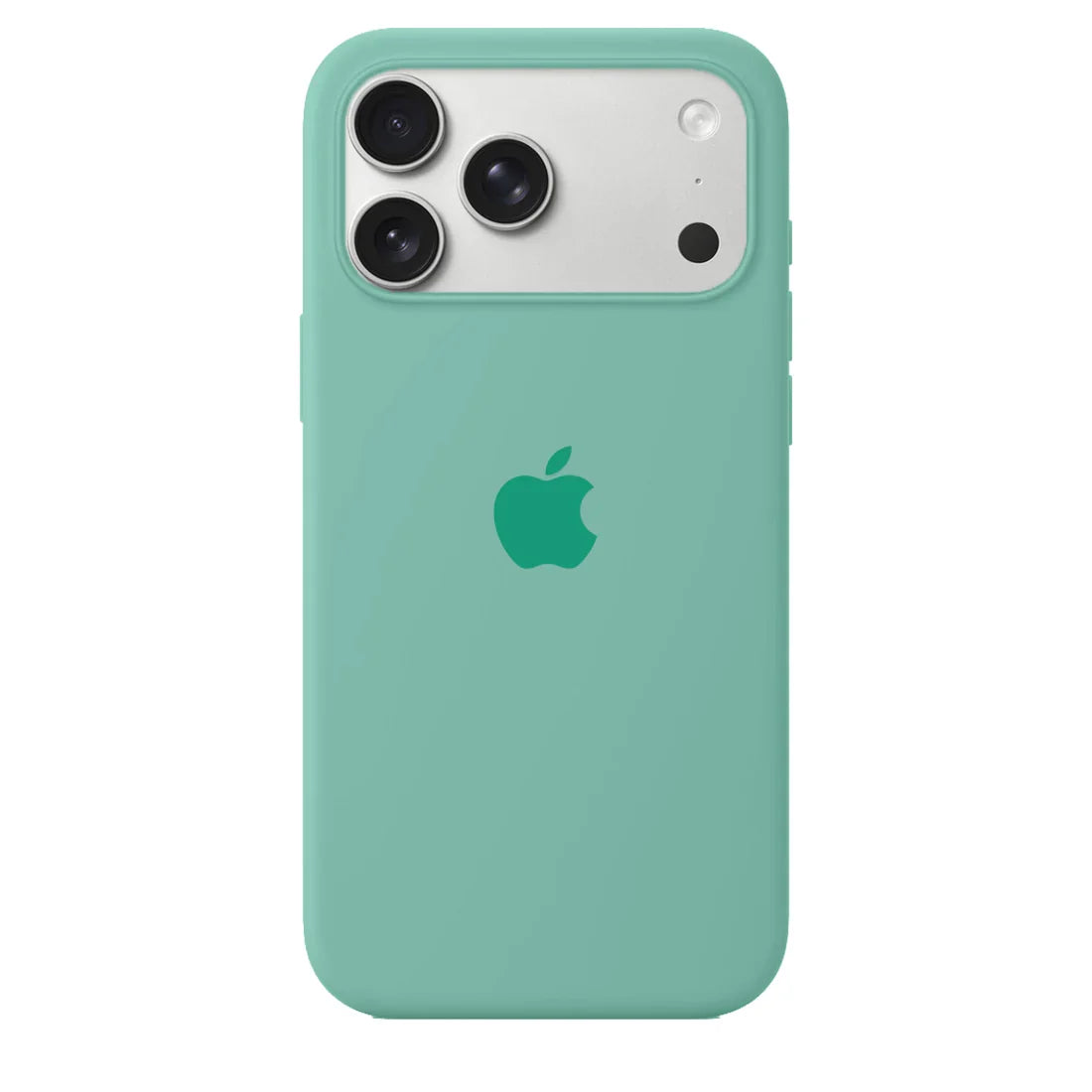 Silicone Case (MINT)