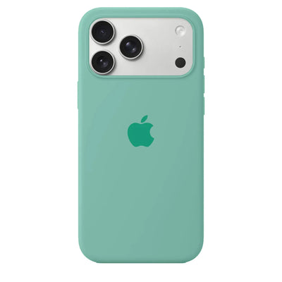 Silicone Case (MINT)